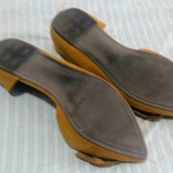 Torrid yellow flats - Picture 5 of 7